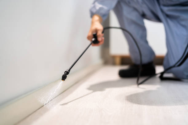 Certified termite inspector examining foundation in Chino Valley